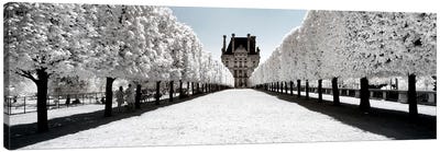Another Look - Paris Louvre Canvas Art Print - Snow Art