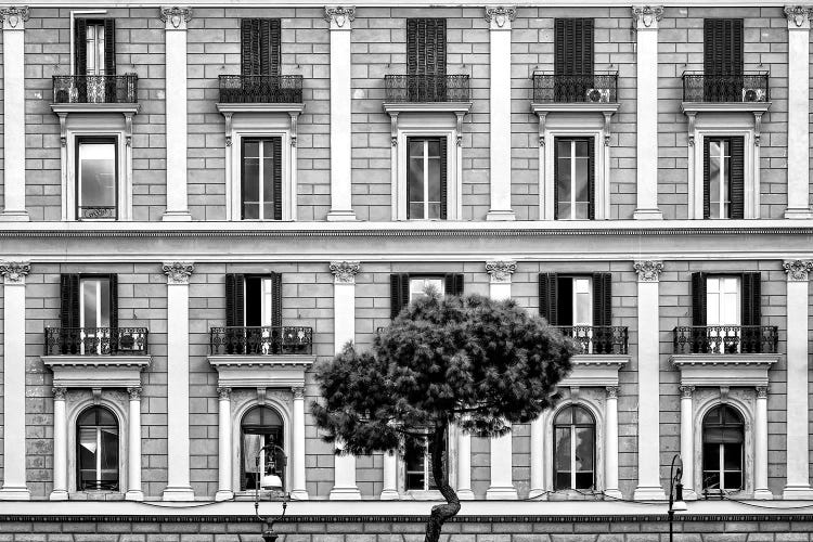 Building Facade In Black & White