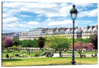 Jardin des Tuileries Paris Canvas Art Print