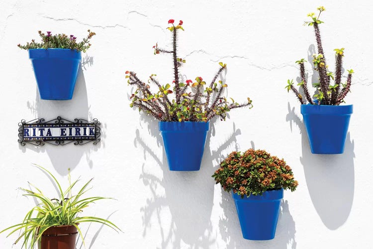 Blue Pots Wall