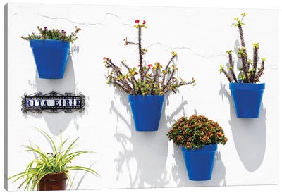 Blue Pots Wall Canvas Art Print - Made in Spain