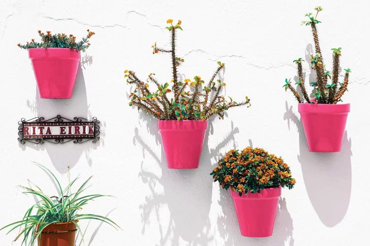 Pink Pots Wall