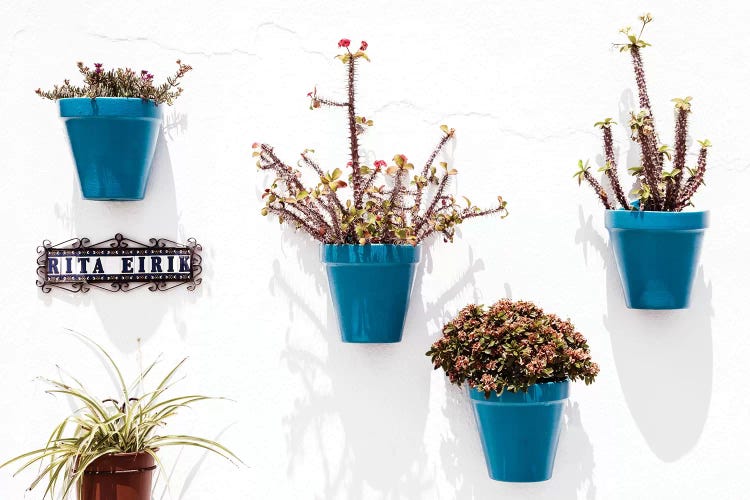 Turquoise Pots Wall