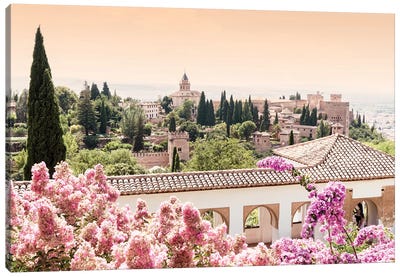 Flowers of Alhambra Gardens Canvas Art Print - Garden & Floral Landscape Art