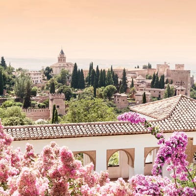 Flowers of Alhambra Gardens by Philippe Hugonnard metal wall art