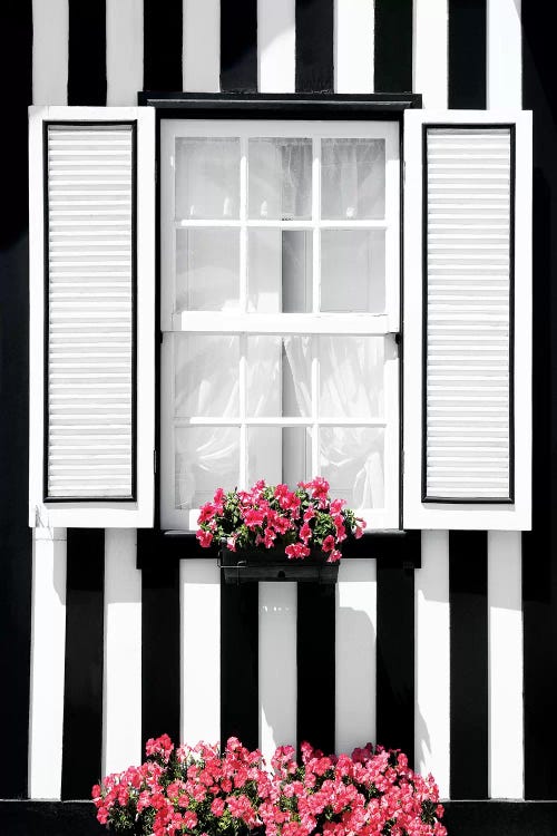 Black and White Striped Window