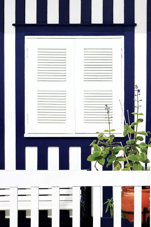 House Facade with Midnight Blue Stripes