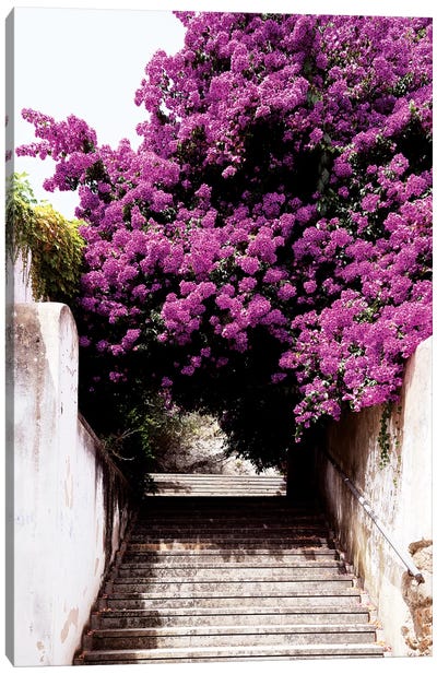 Flowery Staircase Canvas Art Print - Color Pop Photography