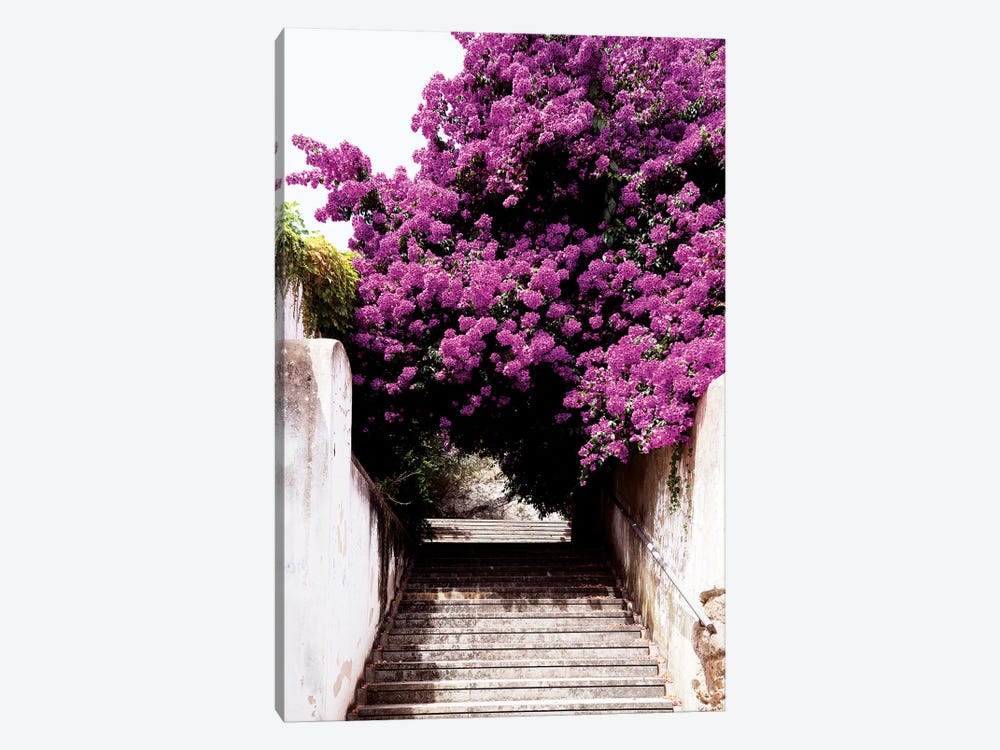 Flowery Staircase by Philippe Hugonnard 1-piece Canvas Print