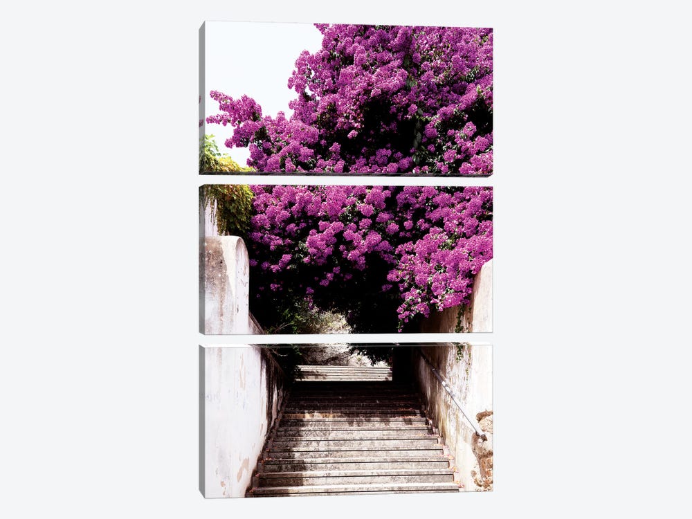 Flowery Staircase by Philippe Hugonnard 3-piece Art Print