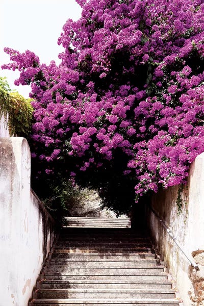 Portugal: Flowery Staircase by Philippe Hugonnard