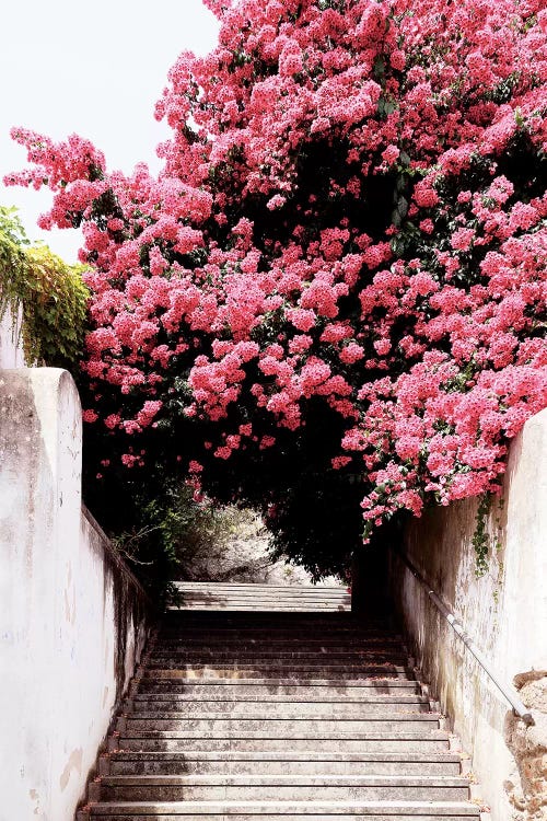 Flowery Staircase II