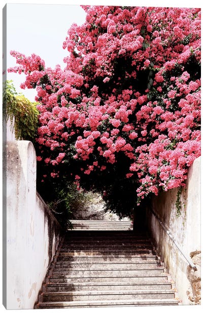 Flowery Staircase II Canvas Art Print - Stairs & Staircases