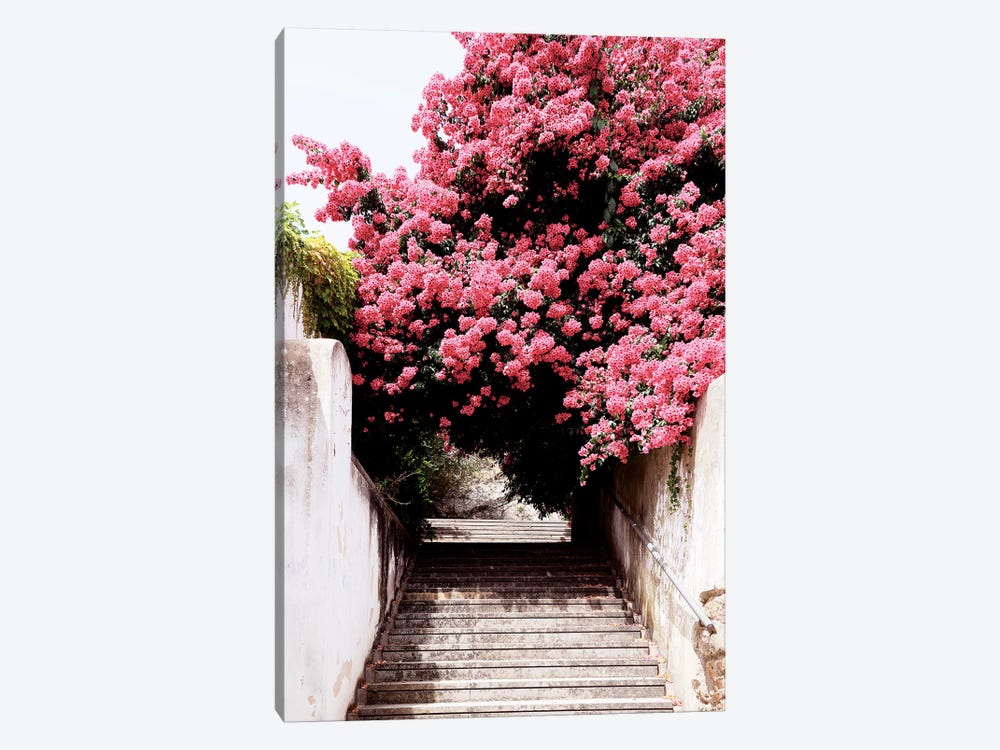 Flowery Staircase II by Philippe Hugonnard 1-piece Canvas Artwork