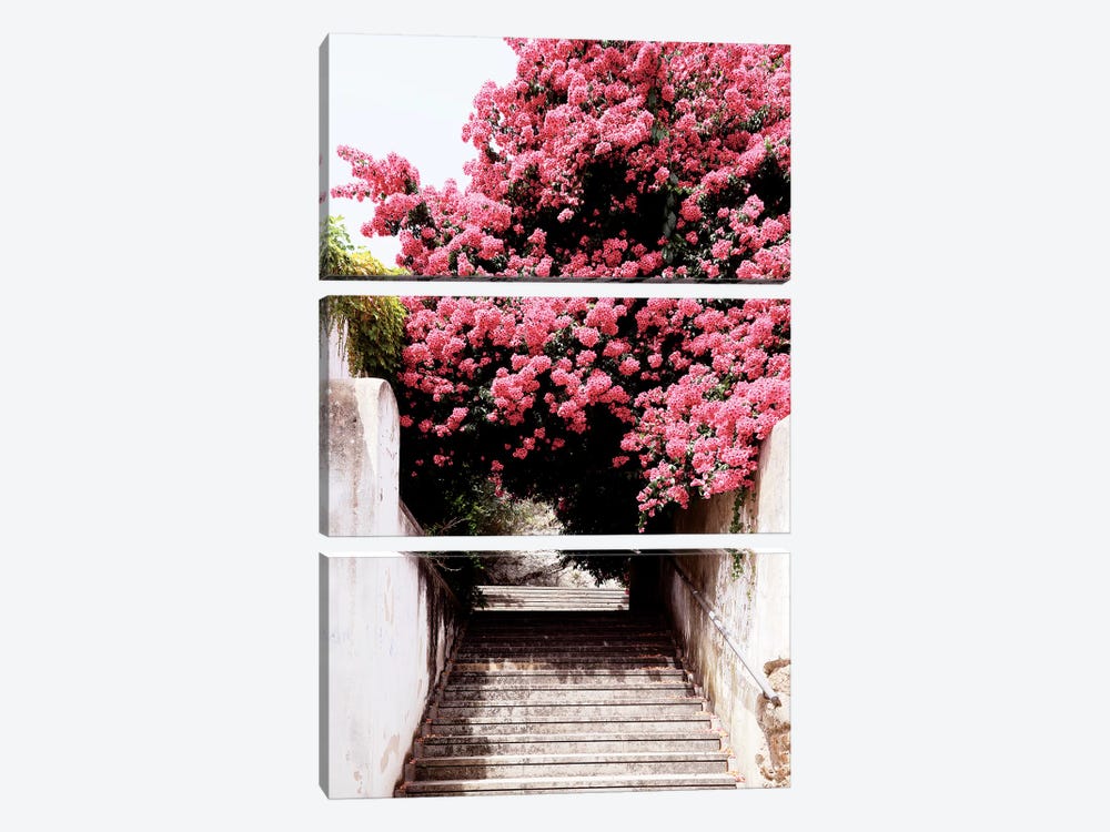Flowery Staircase II by Philippe Hugonnard 3-piece Canvas Wall Art
