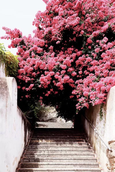 Portugal: Flowery Staircase II by Philippe Hugonnard