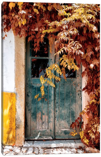 Old Door with Fall Colors Canvas Art Print - Door Art