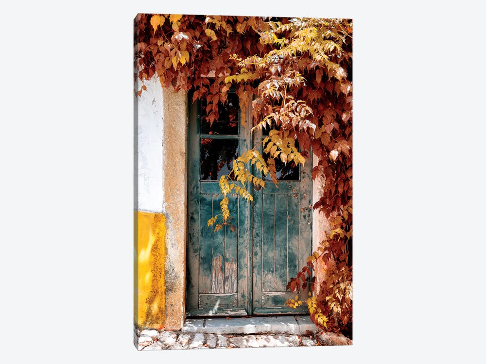 Old Door with Fall Colors by Philippe Hugonnard 1-piece Canvas Print