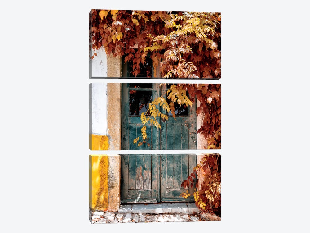 Old Door with Fall Colors by Philippe Hugonnard 3-piece Art Print