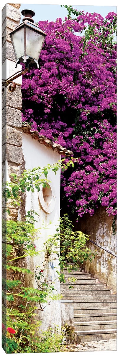 Purple Tree Canvas Art Print - Welcome to Portugal