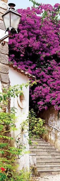 Portugal: Purple Tree by Philippe Hugonnard