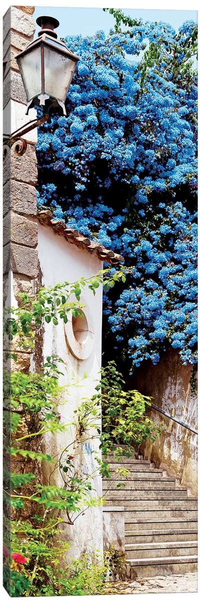 Turquoise Tree Canvas Art Print - Portugal