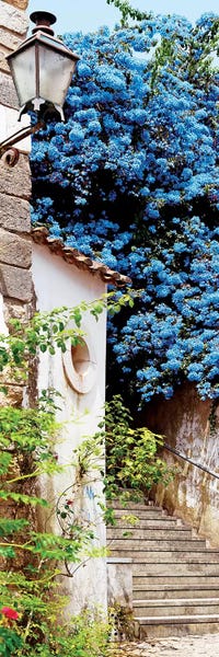 Portugal: Turquoise Tree by Philippe Hugonnard