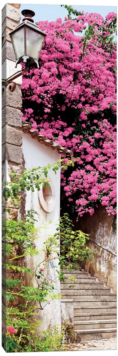 Pink Tree Canvas Art Print - Welcome to Portugal