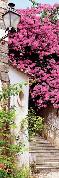 Portugal: Pink Tree by Philippe Hugonnard
