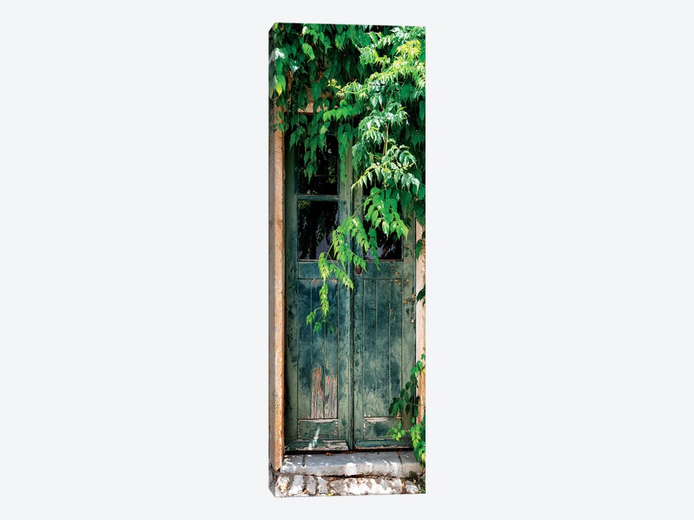 Wild Door by Philippe Hugonnard 1-piece Canvas Wall Art