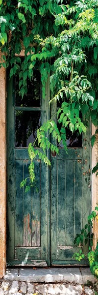 Panoramic Vertical: Wild Door by Philippe Hugonnard