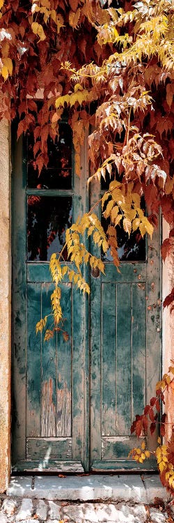 Old Door with Fall Colors