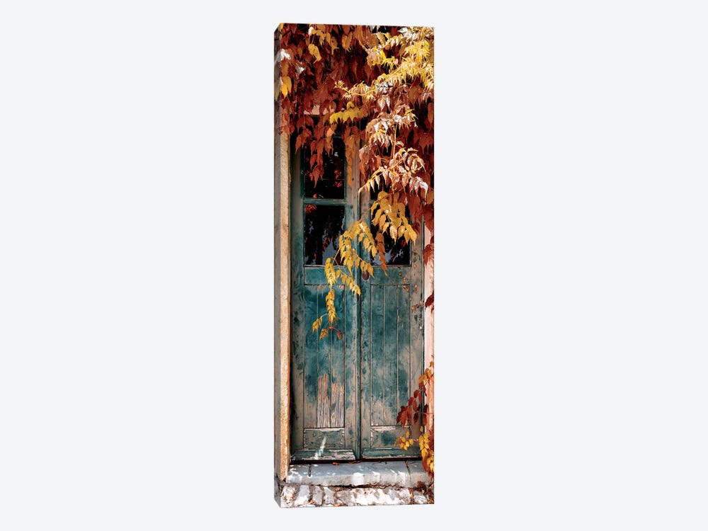 Old Door with Fall Colors 1-piece Art Print