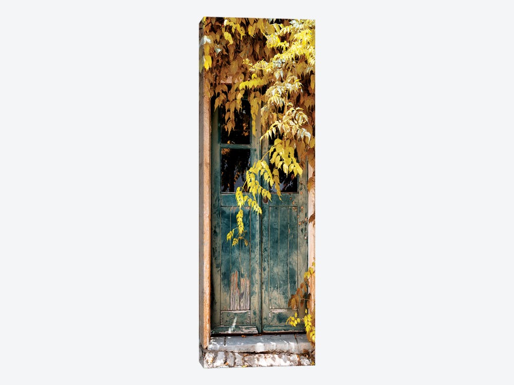 Old Door with Fall Colors II 1-piece Canvas Art