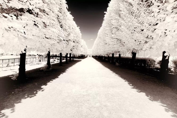 Along The Central Aisle I by Philippe Hugonnard wall art