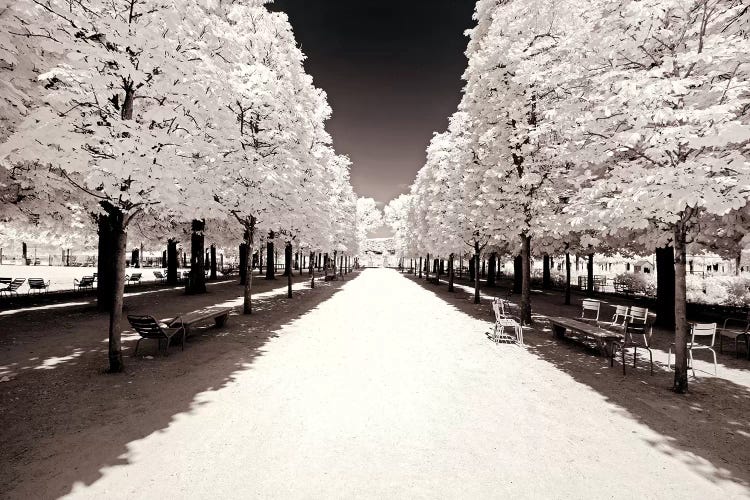 Along The Central Aisle II by Philippe Hugonnard wall art