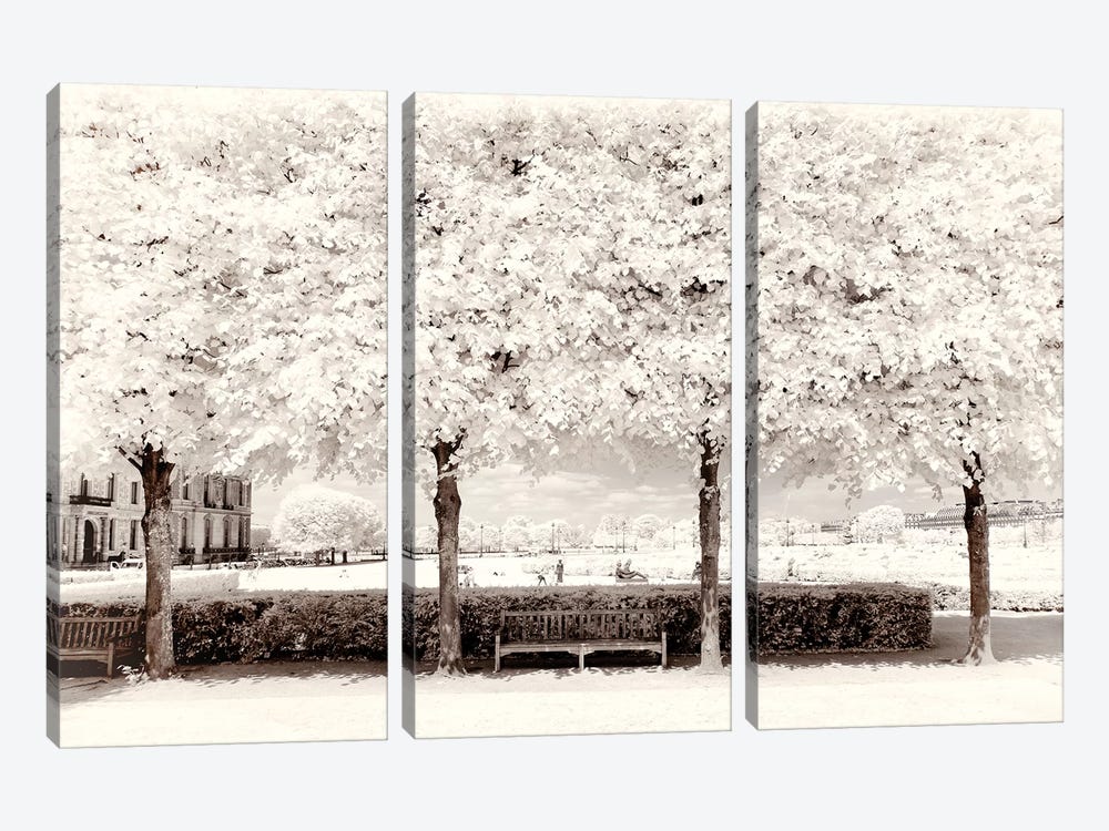 Between Four Trees by Philippe Hugonnard 3-piece Art Print