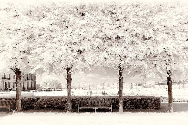 Paris Photography: Between Four Trees by Philippe Hugonnard
