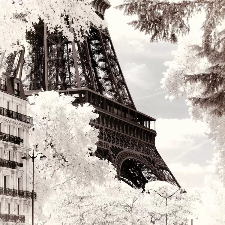 Between Leaves by Philippe Hugonnard wall art