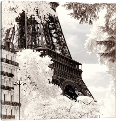 Between Leaves Canvas Art Print - Paris Winter White Collection