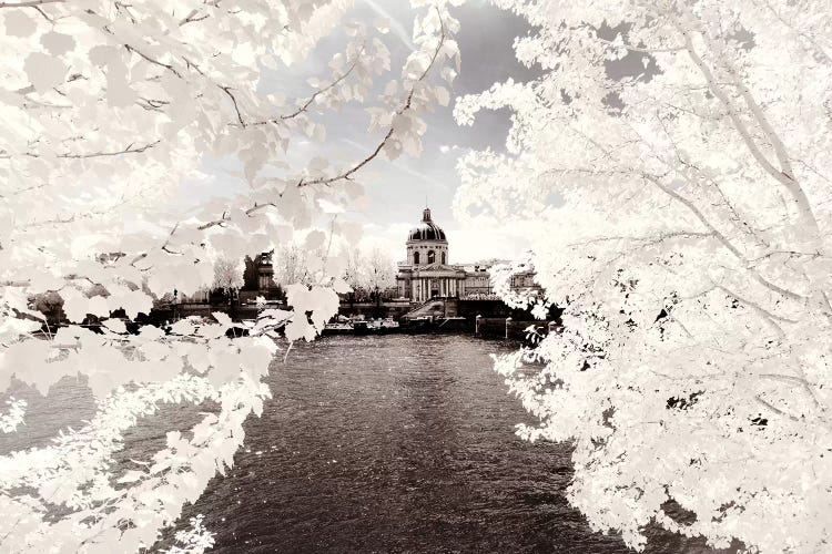 Between The Leaves by Philippe Hugonnard wall art
