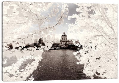 Between The Leaves Canvas Art Print - Paris Winter White Collection