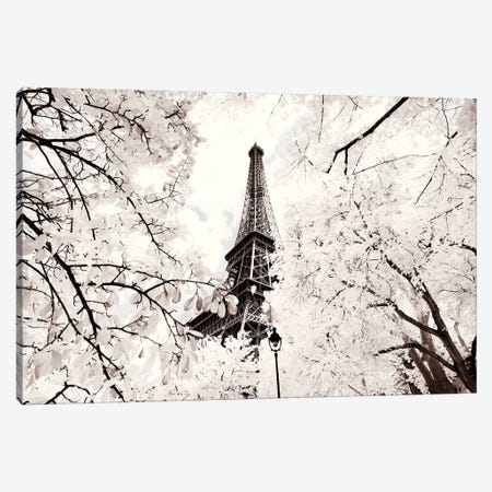 Between Two Trees Canvas Print #PHD661} by Philippe Hugonnard Canvas Wall Art