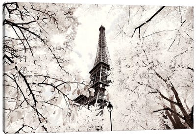 Between Two Trees Canvas Art Print - The Eiffel Tower