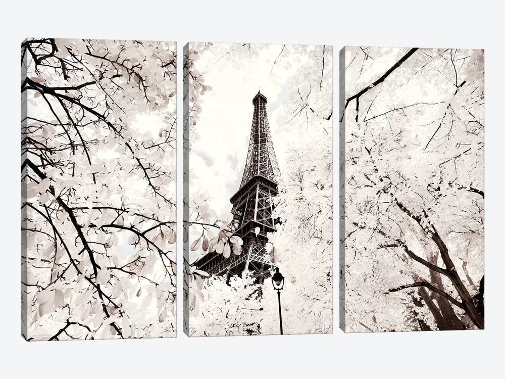 Between Two Trees by Philippe Hugonnard 3-piece Art Print