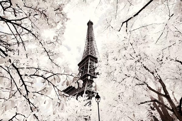 Towers: Between Two Trees by Philippe Hugonnard