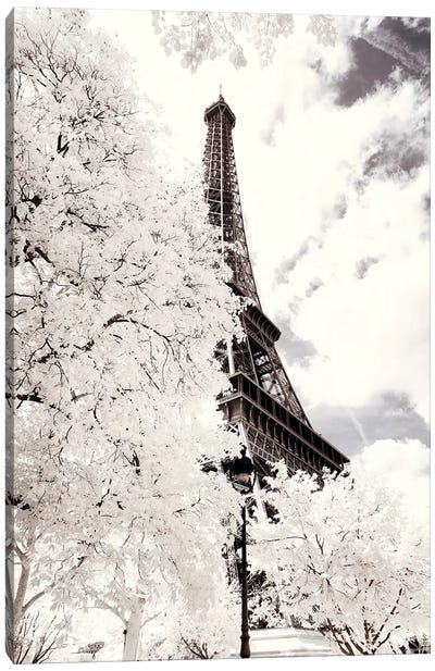 Between Two Trees II Canvas Art Print - The Eiffel Tower