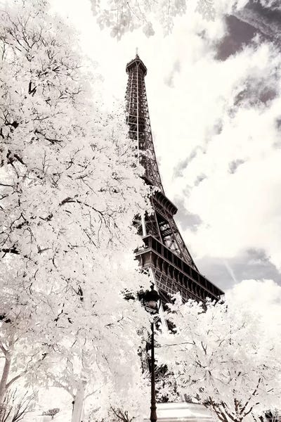 Île-de-France: Between Two Trees II by Philippe Hugonnard