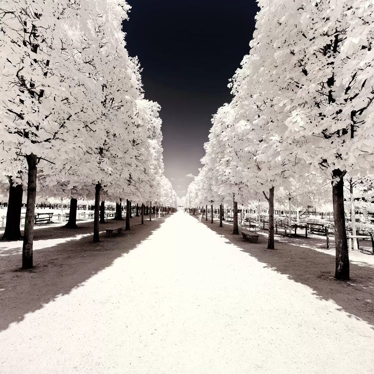 Convergence by Philippe Hugonnard wall art
