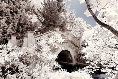 Crossed The Bridge by Philippe Hugonnard art print